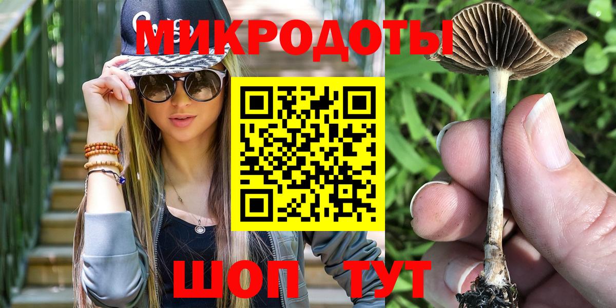 Галлюциногенные грибы GOLDEN TEACHER  купить   Пугачёв  Вход с VPN 